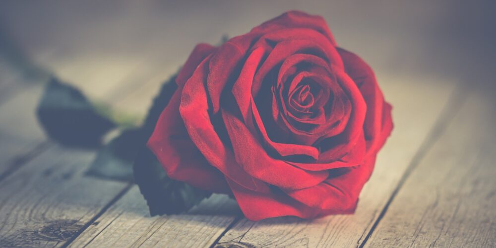 Valentine Day, 14th February | یوم محبت | Love Day 🌹