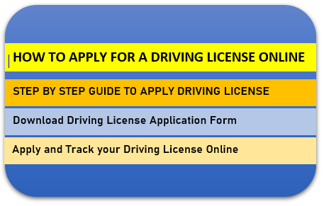DLIMS PUNJAB: How to Apply for a Driving License online (2022)