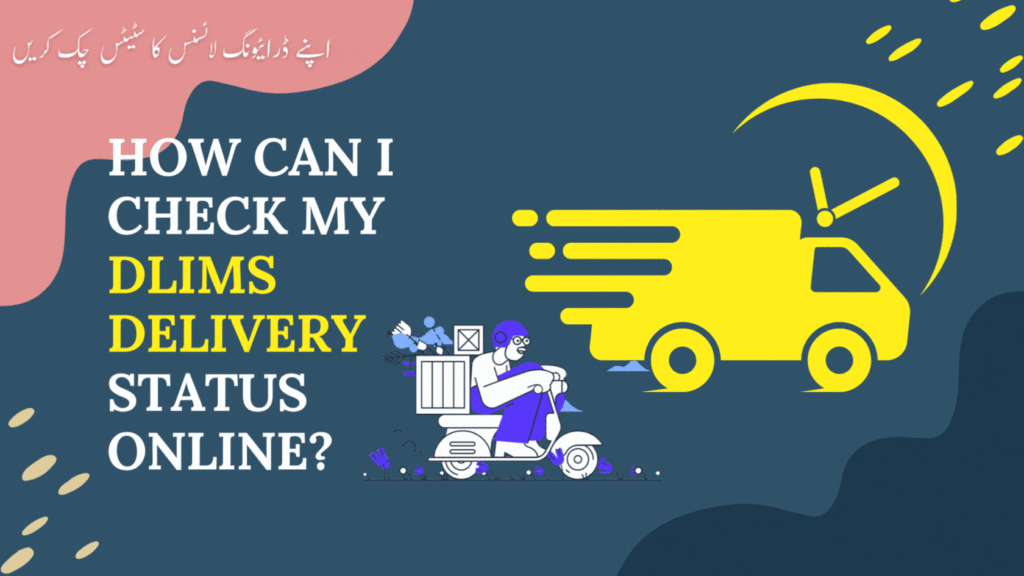 How can I check my DLIMS Delivery Status Online