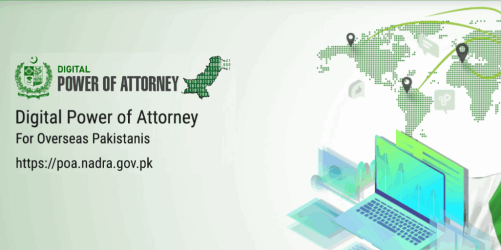 How to Check Your NADRA Family Tree Online from the USA (Step-by-Step Guide)